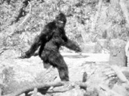 Bigfoot costume