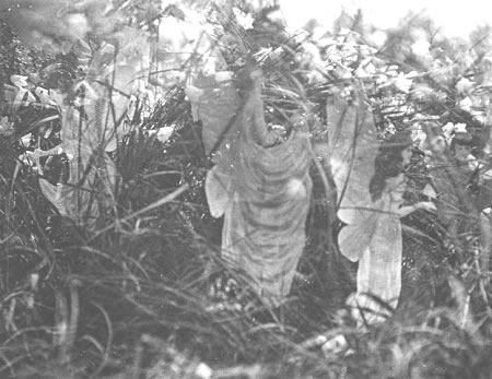 The fifth and final Cottingly fairy photo