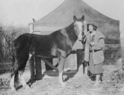Lady Wonder, another non-psychic horse