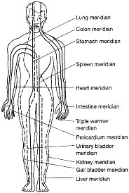 meridians chart