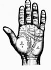 palm for palm reading