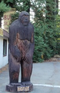 carved Bigfoot out of redwood