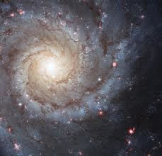spiral galaxy Messier 74 from Hubble space telescope